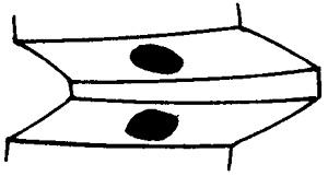 FX݆͜(zhn)pX݆g(sh)Zӹ݆X|zԇ(yn)