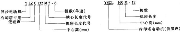 YSCLYLZCϵsõஐ늄әC(j)Y(ji)(gu)鼰c